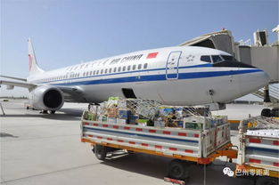 巴州2019年農(nóng)特產(chǎn)品航空貨運專號續(xù)航啟動 高效物流助力特色經(jīng)濟騰飛